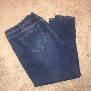Lane Bryant low rise  boyfriend jeans. 22